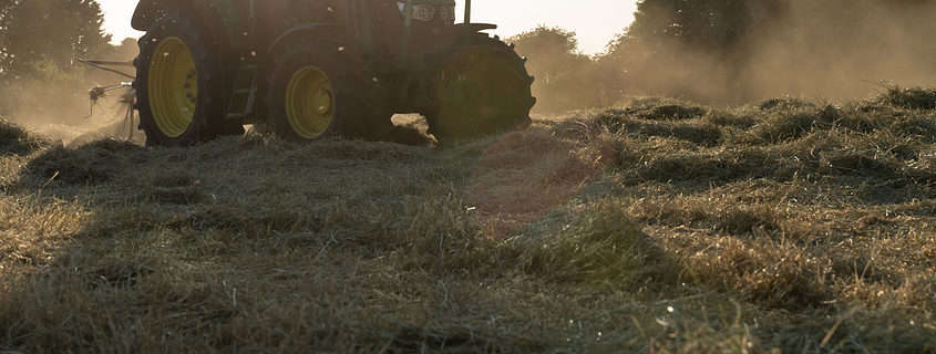 Mells Farm Hay Harvest